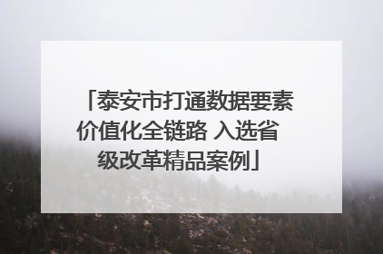 泰安市打通数据要素价值化全链路 入选省级改革精品案例